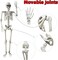 165cm Halloween Skeleton Full Body Life Size Human Bones with Movable Joints for Indoor Outdoor Halloween Props Decorations